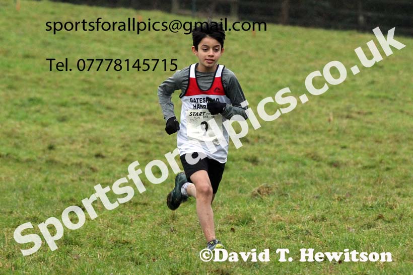 Boys under-13s, NECAA Junior Cross Country Relays, Thornley Farm, Peterlee, Saturday, December 12th. Photo: David T. Hewitson/Sports for All Pics